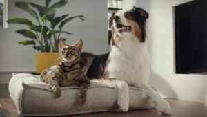 Save Energy – Somfy Powered Motorized Window Coverings