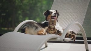 Outdoor Satisfaction - Somfy Motorized Exterior Screens