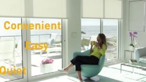 Shade and blind motor designed for silence - Sonesse 30 WireFree Li-ion RTS